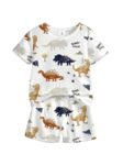 IDS Boys Cotton Co-Ord Set | Printed T-Shirt & Shorts (5-6 Yr)